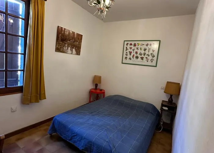 Proche لو براديت